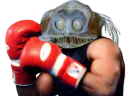 :Poisson_boxe:
