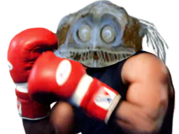 :Poisson_boxe: