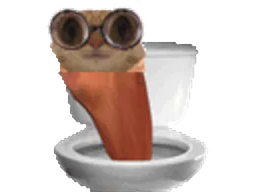 :skibidi_chat_lunettes: