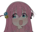 :bocchihuhu:
