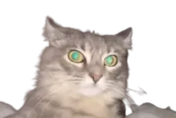 :jugement2: