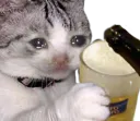 :Chat_biere: