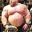 Photo de profil de ForumMuscu