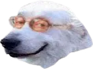 :Chienveinard: