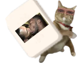 :Paindividu_Mahjong_homosexuel: