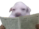 :purer3journal: