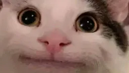 :jouhnchat: