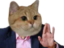:chat_main_levee: