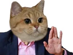 :chat_main_levee: