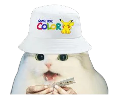 :cattoxboy2: