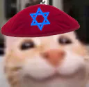 :choah_silly_cat: