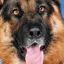 Photo de profil de Valium