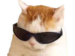 :ChatCool: