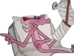 :panthere_rose5h: