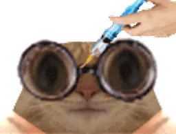 :chat_lunette_vaccin: