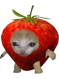 :Chat_fraise: