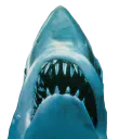 :Jaws2: