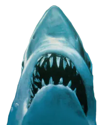 :Jaws2: