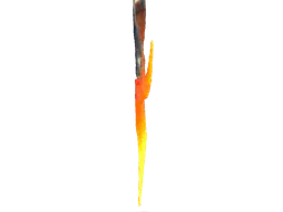 :T12: