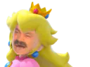 :risipeche_hihi: