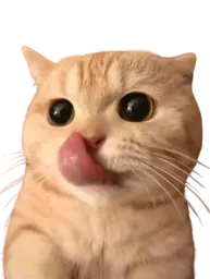 :chatslurp:
