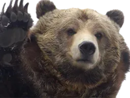 :ours1: