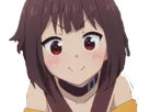 :megumin_sourire: