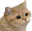 Photo de profil de Diabetissou