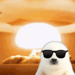 :phoquegif3: