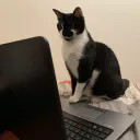 Chat_Lubrique