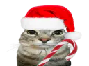 :CS_Noel: