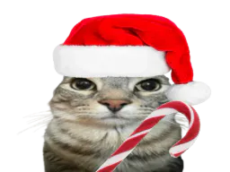 :CS_Noel:
