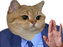 :chat_main_levee_: