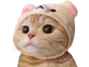 :Ahi10: