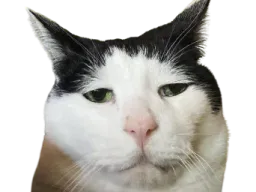 :chat_vieux: