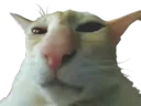:chat_blasiert: