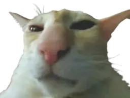 :chat_blasiert: