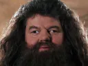 :Hagrid1: