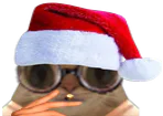 :ChatNoelFume: