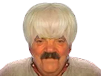 :risipapy: