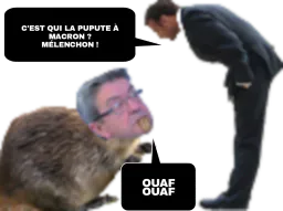 :Melenchon_Macron_: