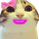 :chat_marrant_fille: