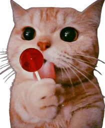 :LolipopCatv2: