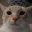 Photo de profil de ambiguite