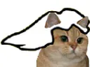:chat_master_race: