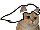 :chat_master_race: