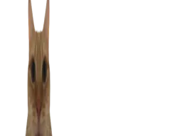 :chatmalcadre4:
