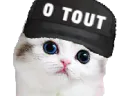 :chaton_0_tout: