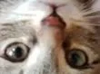 :eden_envers: