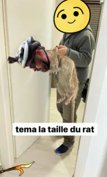 :wind4: